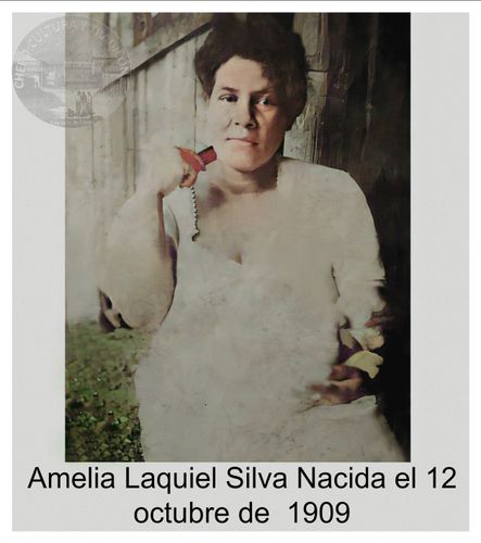 Amelia Laquiel Silva