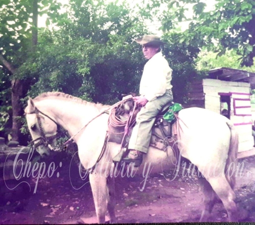 Chico Vejarano