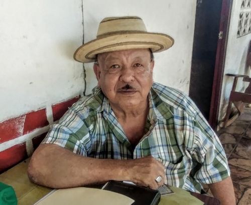 Amado