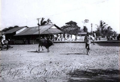 Corridas de toro sin barreras 1947