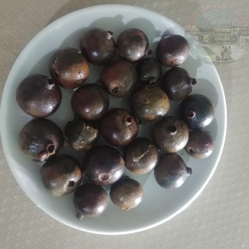 Trompitos
