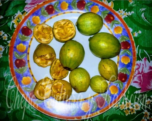 Fruta Tulivieja