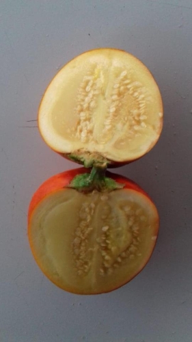 Naranjilla