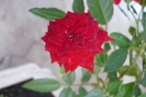 FB IMG 1448499582953