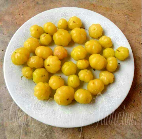 Grosellas