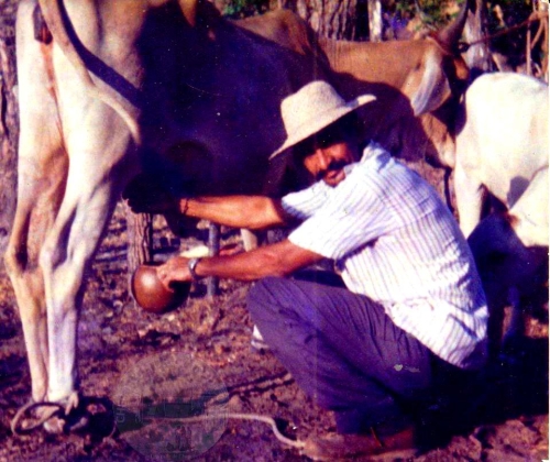Negro Acevedo.